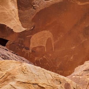 ACloseupShotOfRockCarvingsFromTwyfelfonteinNamibia