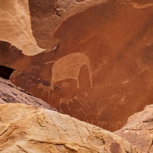 ACloseupShotOfRockCarvingsFromTwyfelfonteinNamibia