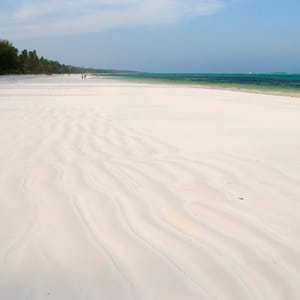 FineWhiteSandAndPalmTreesOnMatemweBeachZanzibar
