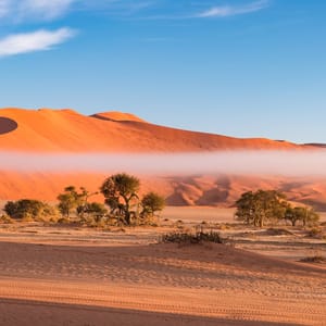 SandDunesInTheNamibDesertAtDawnRoadtripIn