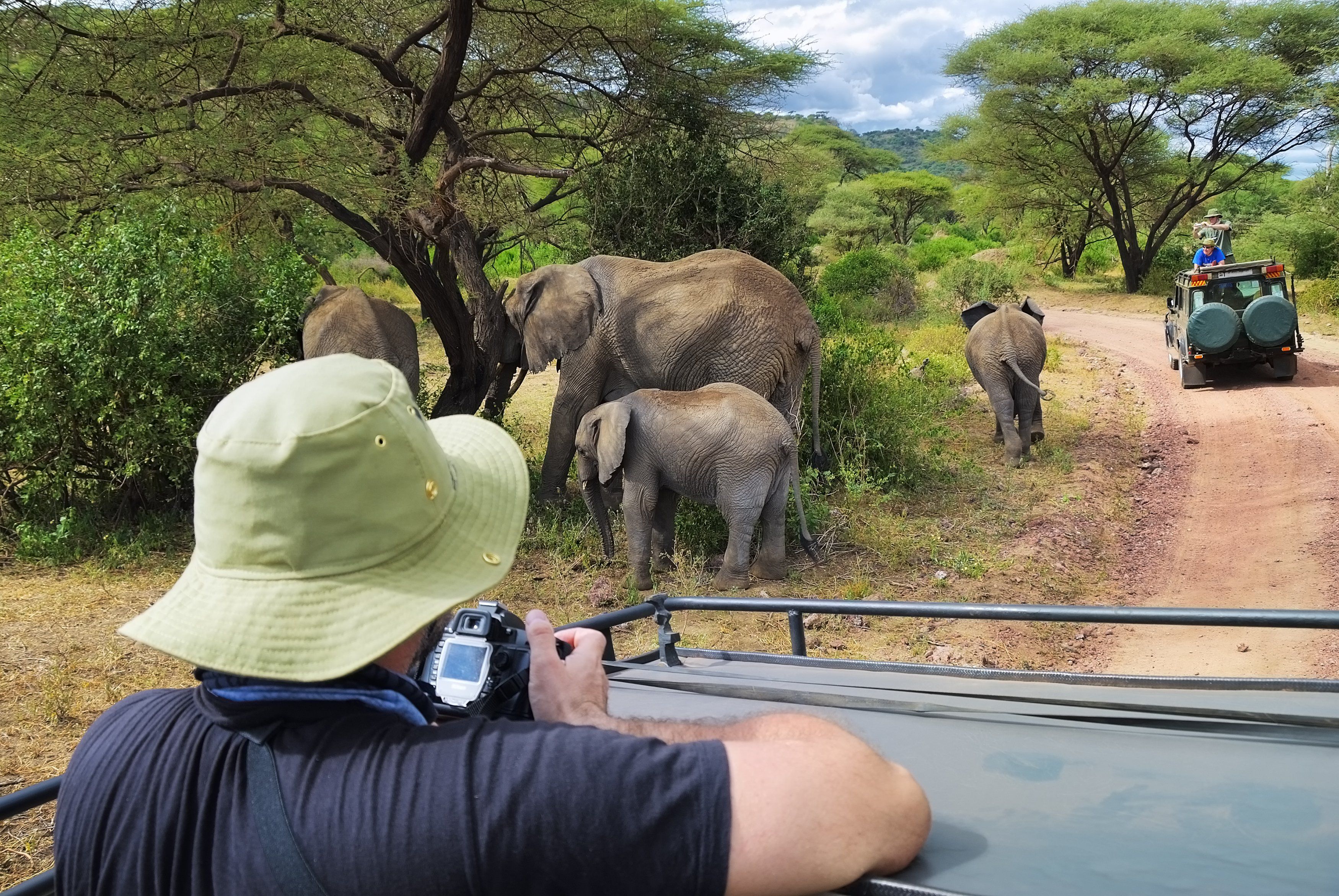 Safaribiler i Lake Manyara Nationalparken Tanzania » Tembo Safari Safaribiler i Lake Manyara Nationalparken Tanzania
