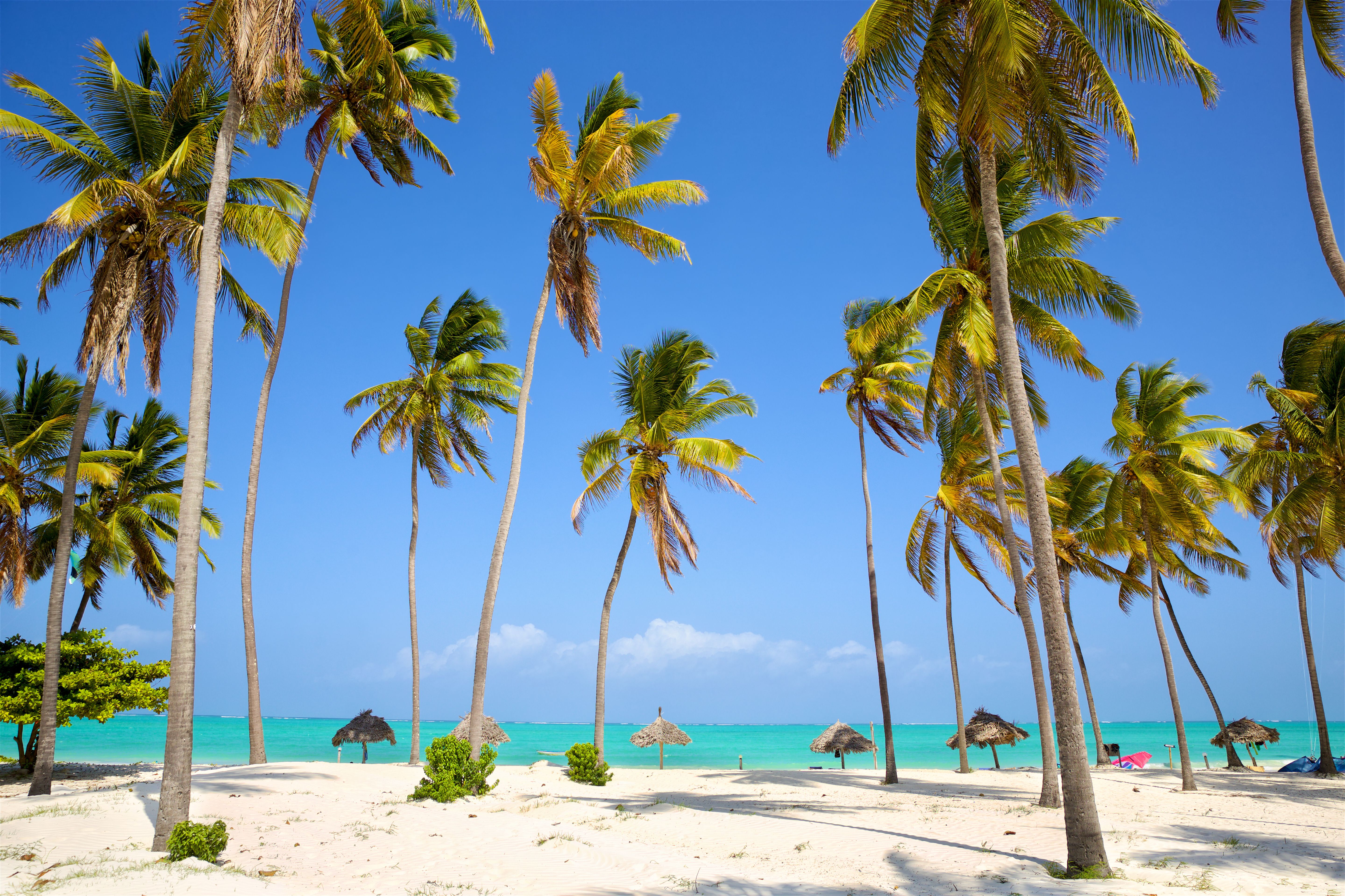 Flotte strand med hvide sand og palmer på Zanzibar