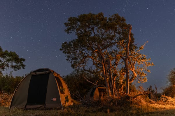 Bushways standard camping