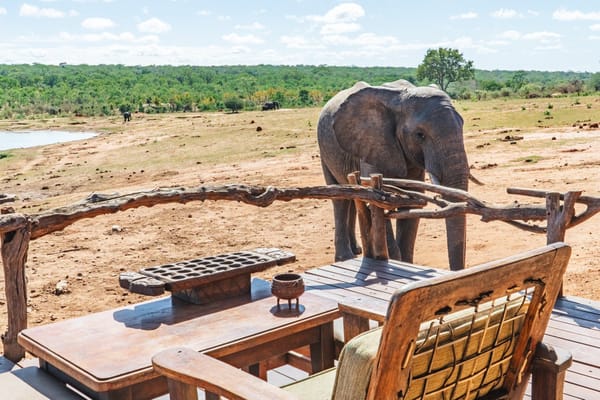 Ivory Lodge