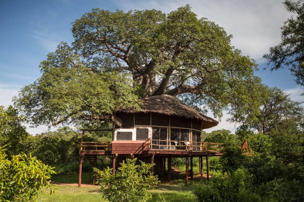 Tarangire Treetops Lodge