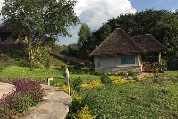 Baboon Safari Resort