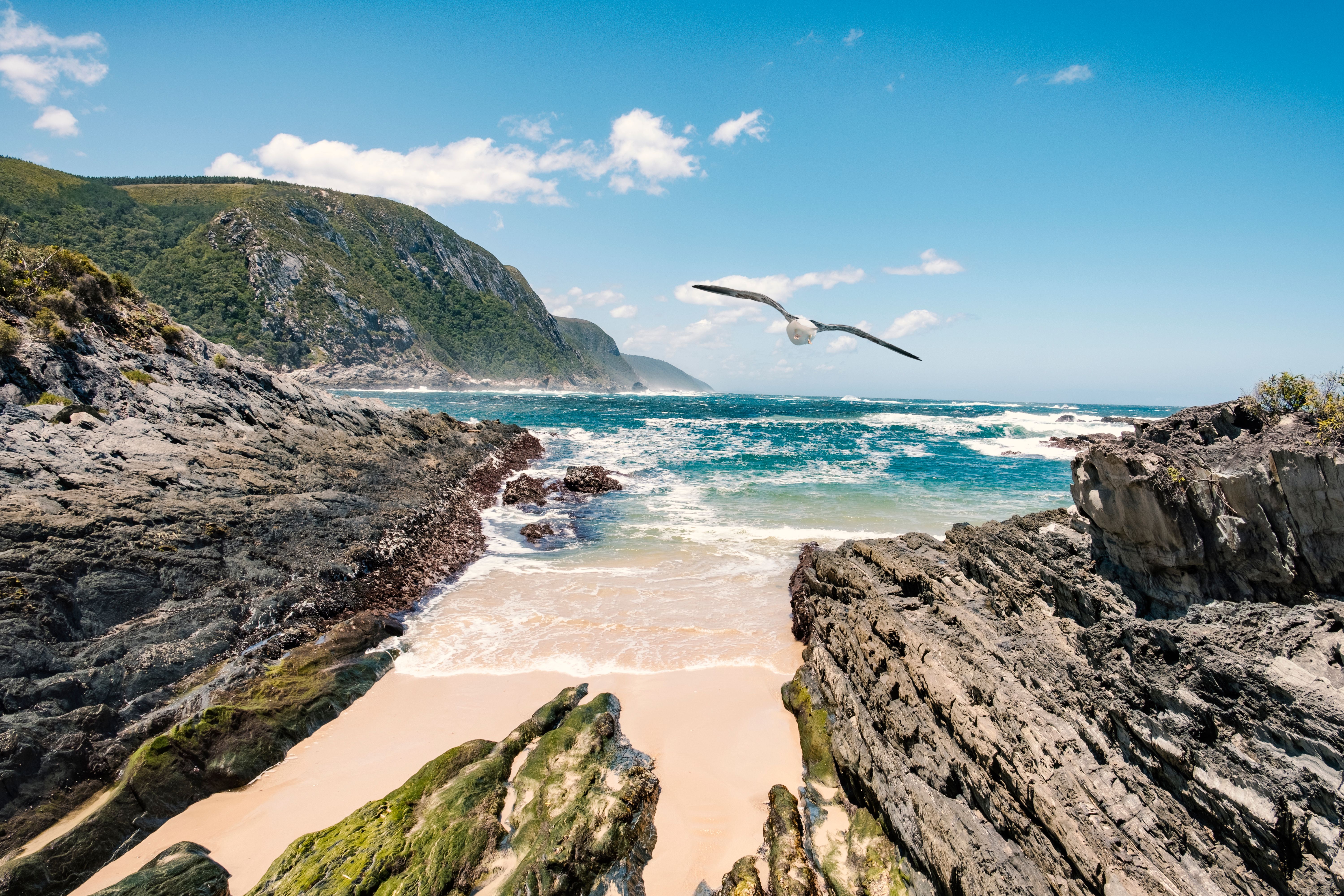 Garden Route i Sydafrika Stormstiver Mouth » Tembo Safari Garden Route i Sydafrika Stormstiver Mouth
