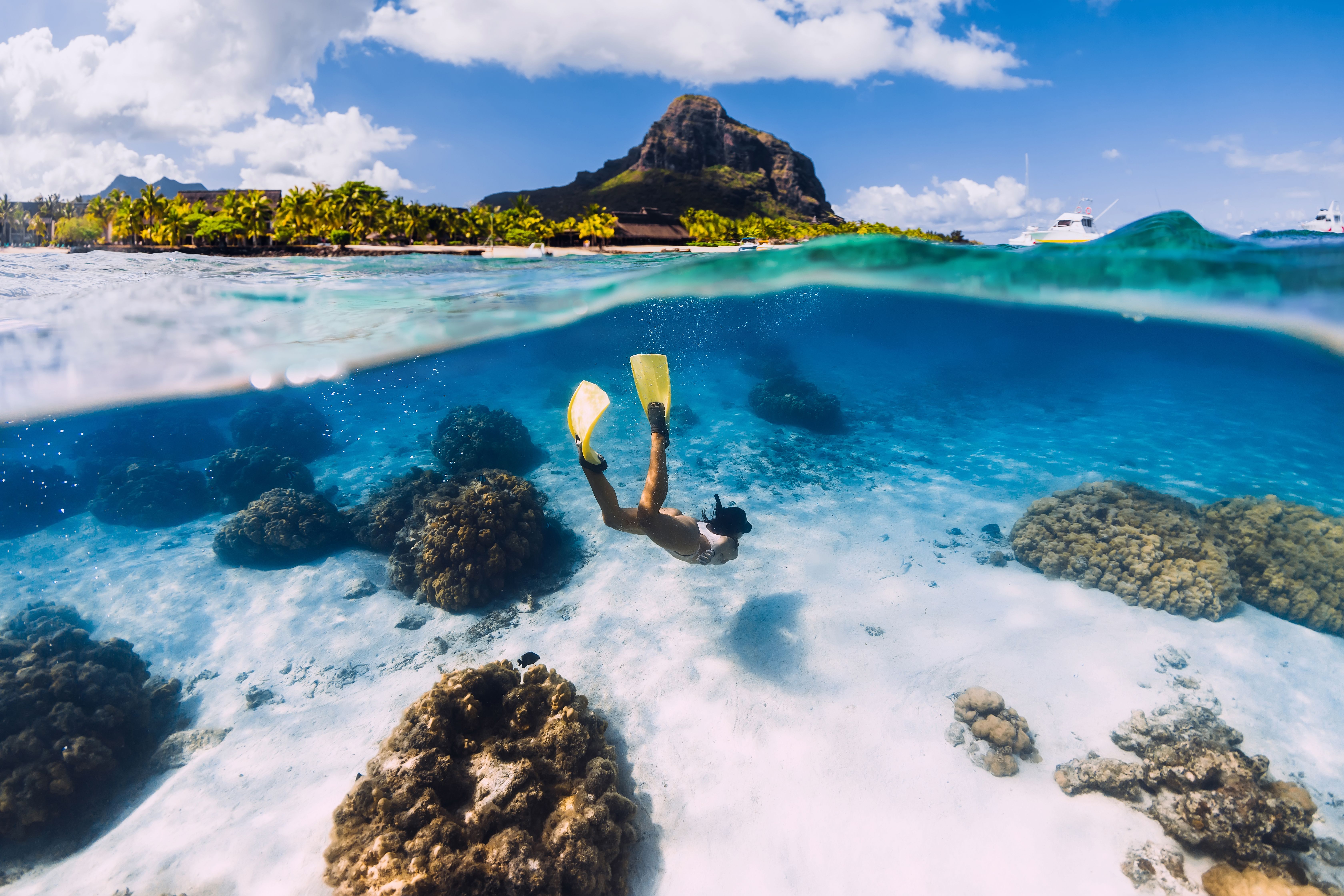 Gæsten der snorkler i Mauritius