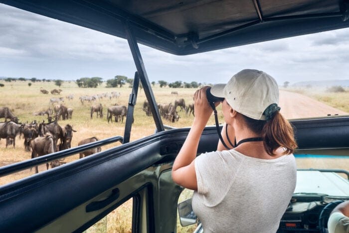 Gæst i safaribil med gnuer i baggrund » Tembo Safari Gæst i safaribil med gnuer i baggrund