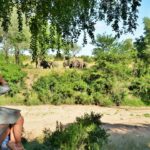 Imbali Safari Lodge View