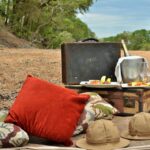 hamiltons_tented_camp_-_classic_picnic