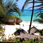 lbr-cocobeach-2019