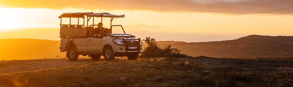 Malariafri safari i Sydafrika